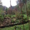 permaculture